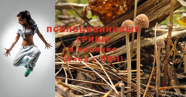 прущая мука Лагань