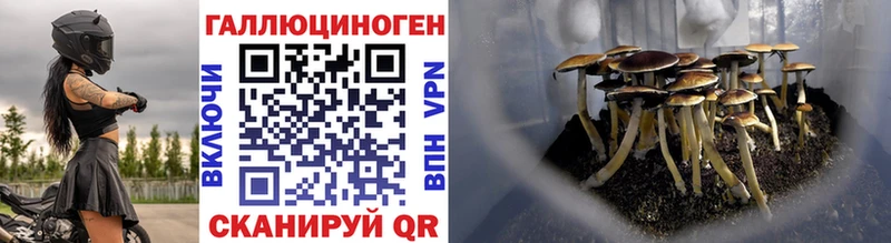 Купить  Чапаевск  Псилоцибиновые грибы Magic Shrooms 