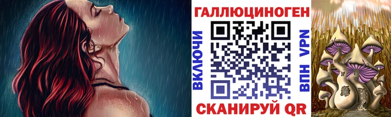 Псилоцибиновые грибы мицелий Чапаевск